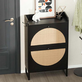 Braxton Home Elena 2 Door Shoe Cabinet
