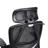 Braxton Home Halyna Mesh Office Chair with Footrest