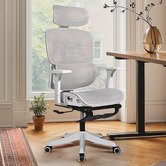 Braxton Home Halyna Mesh Office Chair with Footrest