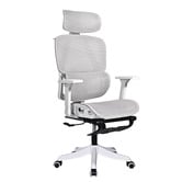 Braxton Home Halyna Mesh Office Chair with Footrest
