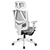 Braxton Home Halyna Mesh Office Chair with Footrest