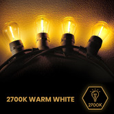Braxton Home Warm White LED Outdoor Festoon Lights
