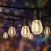 Braxton Home 20m Warm White Outdoor Festoon Lights
