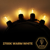 Braxton Home 20m Warm White Outdoor Festoon Lights