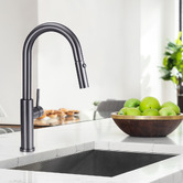 Braxton Home Bowen Pull-Out Kitchen Sink Mixer