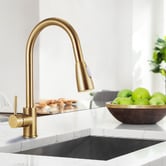 Braxton Home Kieko Pull-Out Kitchen Sink Mixer
