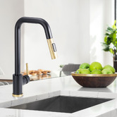 Braxton Home Perach Pull-Out Kitchen Sink Mixer