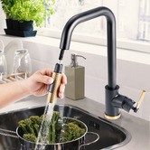 Braxton Home Perach Pull-Out Kitchen Sink Mixer