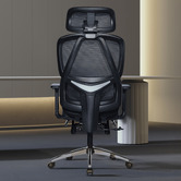 Braxton Home Inna Mesh Office Chair with Footrest