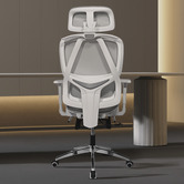 Braxton Home Inna Mesh Office Chair with Footrest