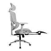 Braxton Home Inna Mesh Office Chair with Footrest