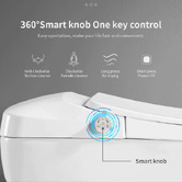 Braxton Home Lam Wall Faced Smart Toilet