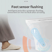 Braxton Home Lam Wall Faced Smart Toilet