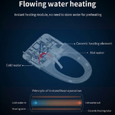 Braxton Home Lam Wall Faced Smart Toilet