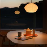 Braxton Home Izza Metal &amp; Glass Pendant Light
