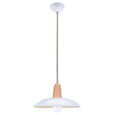 Braxton Home Dandi Beech Wood &amp; Metal Pendant Light