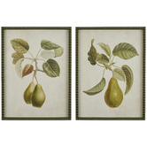 Hub Living 2 Piece Pyrus Framed Printed Wall Art Set