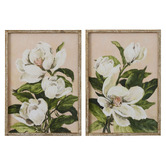 Hub Living 2 Piece Aurora Framed Printed Wall Art Set