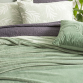 Chiswick Living Mandel Velvet Blanket