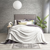 Chiswick Living Mandel Velvet Blanket