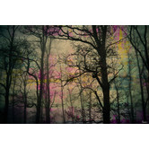 Barley Cove Night Sight Canvas Wall Art