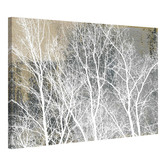 Barley Cove Frosty White Branches Canvas Wall Art