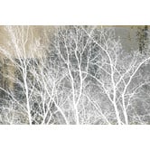 Barley Cove Frosty White Branches Canvas Wall Art