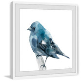 Barley Cove Chubby Blue Bird Framed Printed Wall Art