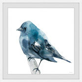 Barley Cove Chubby Blue Bird Framed Printed Wall Art