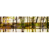 Barley Cove Lake Trees Canvas Wall Art