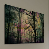 Barley Cove Night Sight Canvas Wall Art