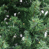 Lifestyle Traders Sylvanus Light Up Christmas Tree