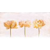Galerie Art Co Peonies Canvas Wall Art