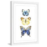 Galerie Art Co Three Butterflies Wall Art