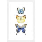 Galerie Art Co Three Butterflies Wall Art
