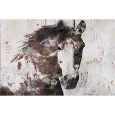 Galerie Art Co Gorgeous Horse Canvas Wall Art