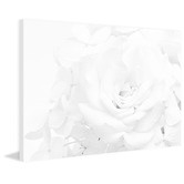 Galerie Art Co White Rose Art Print on Canvas