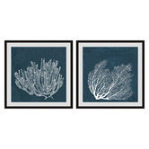 Galerie Art Co 2 Piece Tropical Corals Framed Printed Wall Art Set