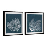 Galerie Art Co 2 Piece Tropical Corals Framed Printed Wall Art Set