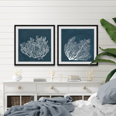 Galerie Art Co 2 Piece Tropical Corals Framed Printed Wall Art Set