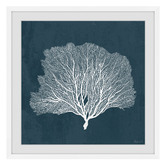 Galerie Art Co Sea Fan Coral Framed Printed Wall Art