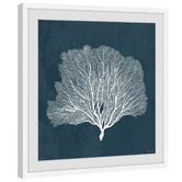 Galerie Art Co Sea Fan Coral Framed Printed Wall Art