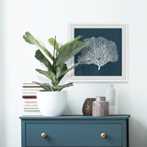 Galerie Art Co Sea Fan Coral Framed Printed Wall Art