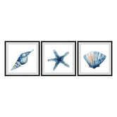 Galerie Art Co 3 Piece Starfish &amp; Shells Framed Printed Wall Art Set