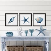 Galerie Art Co 3 Piece Starfish &amp; Shells Framed Printed Wall Art Set