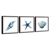 Galerie Art Co 3 Piece Starfish &amp; Shells Framed Printed Wall Art Set