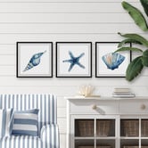 Galerie Art Co 3 Piece Starfish &amp; Shells Framed Printed Wall Art Set