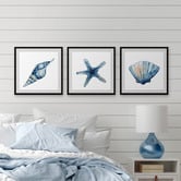Galerie Art Co 3 Piece Starfish &amp; Shells Framed Printed Wall Art Set