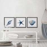Galerie Art Co 3 Piece Starfish &amp; Shells Framed Printed Wall Art Set