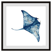 Galerie Art Co Wild Stingray Framed Printed Wall Art